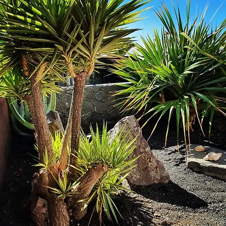 Fashion Armonia, Heated Pool פלאיה בלנקה