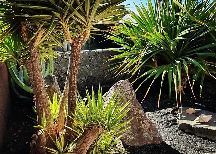 Fashion Armonia, Heated Pool פלאיה בלנקה