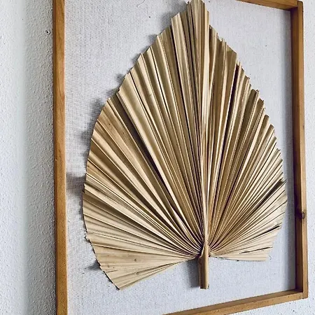 Fashion Armonia, Heated Pool